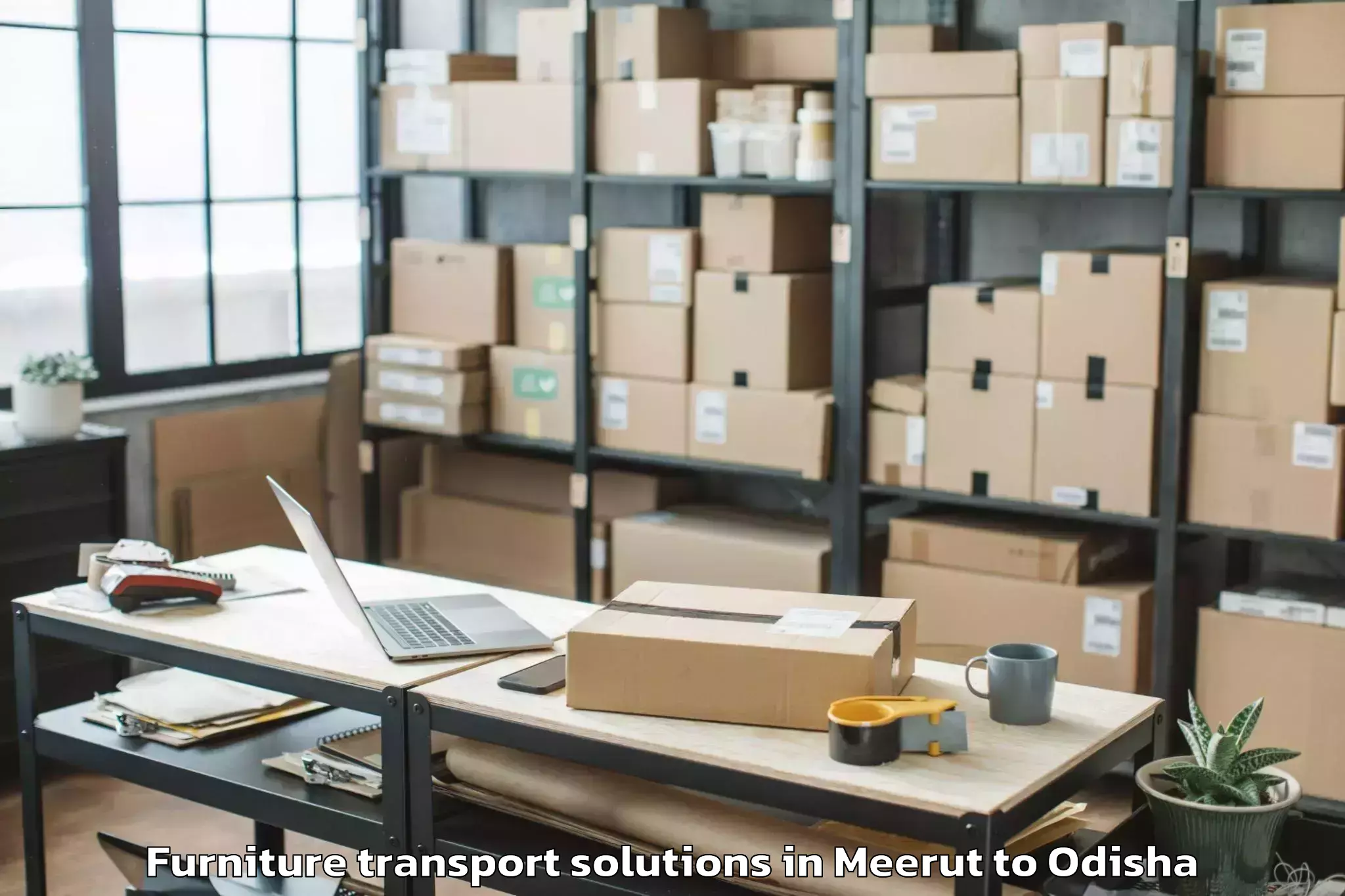 Affordable Meerut to Lephripara Furniture Transport Solutions